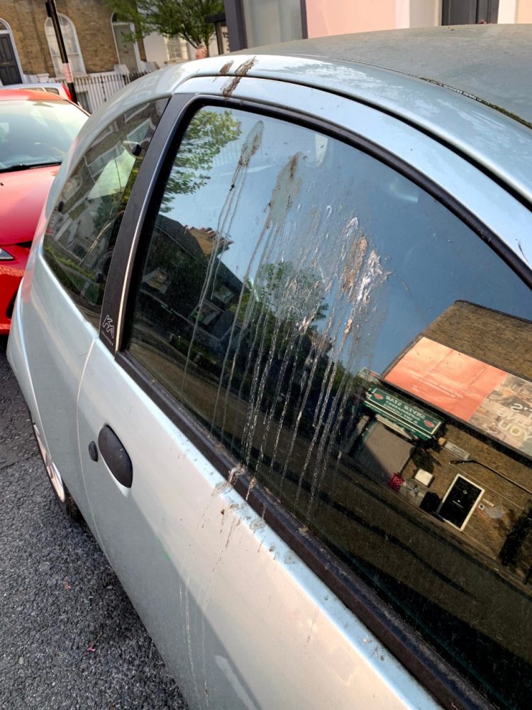 Ford synthetic bird poop test