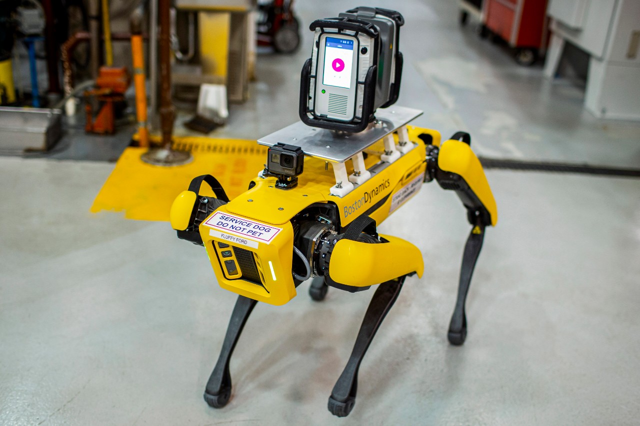 pictures of robot dogs