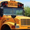 The front of a school bus is shown in front of a corn field