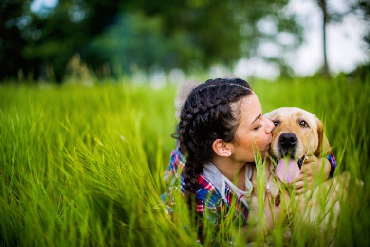 Young woman and her labrador dog having fun and playing in grass