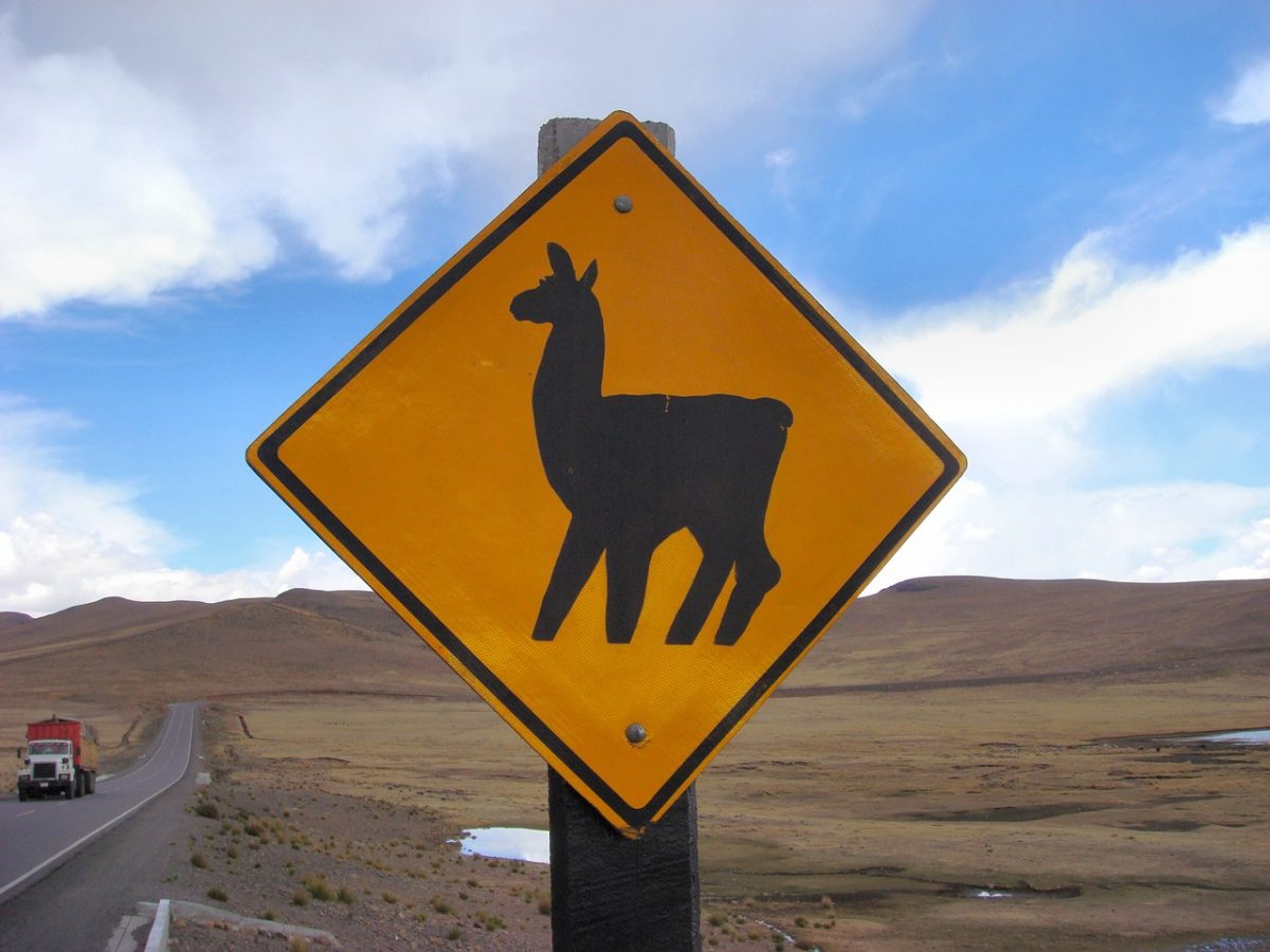 llama crossing sign