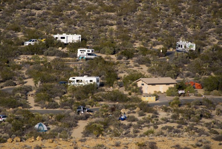 Cottonwood Campground at Joshua Tree National Park, a small part of the RV industry