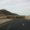 A wildlife overpass by the Hoover Dam