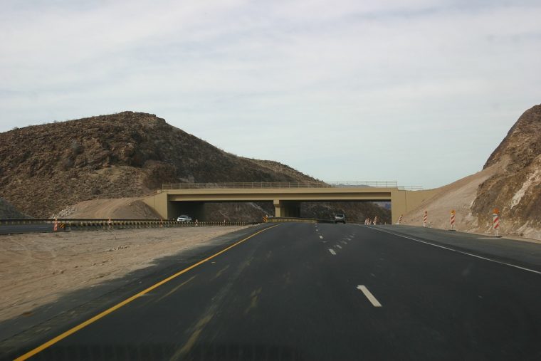 A wildlife overpass by the Hoover Dam is one of the animal bridges.