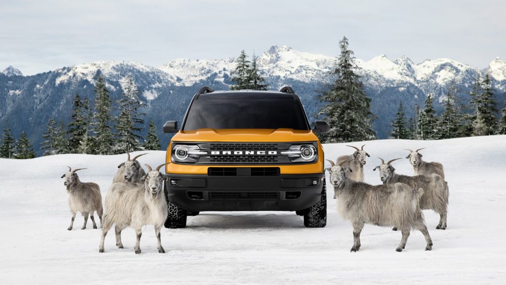 2021 Ford Bronco Sport Raised by Goats