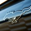 2021 Ford Mustang Mach-E GT pony emblem