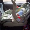 baby car seat