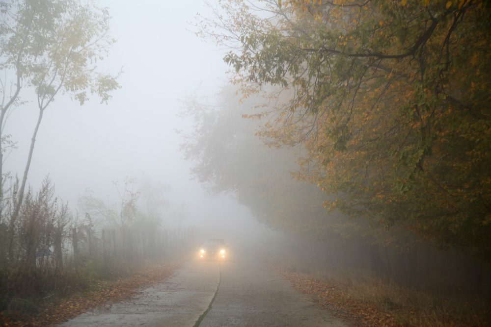 foggy road with car coming toward camera with fog lights on