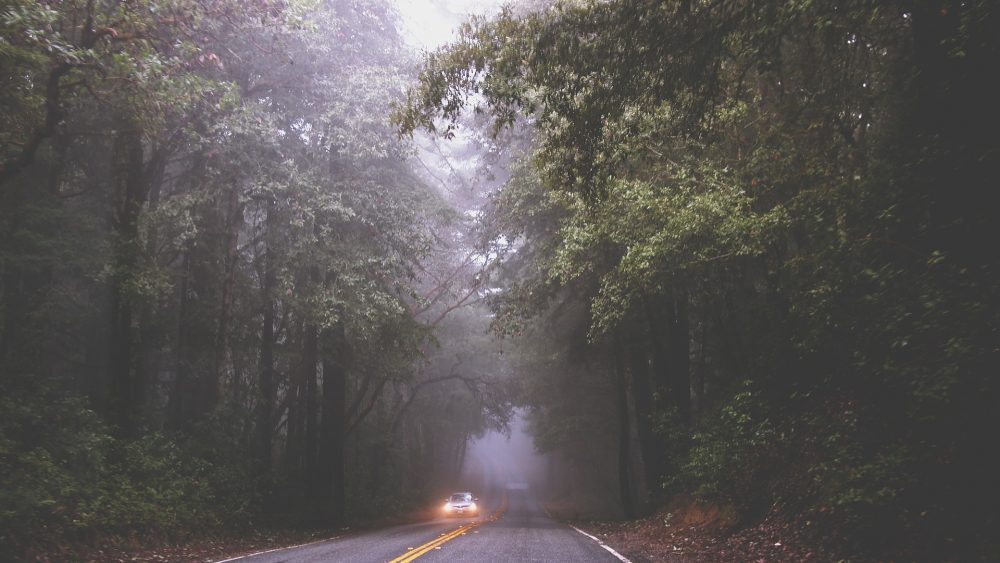 foggy road with car coming toward camera with fog lights on