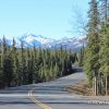 empty road mountains in background forest trees surrounding crosswalk