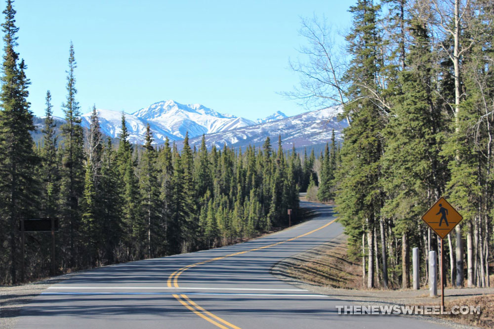 empty road mountains in background forest trees surrounding crosswalk