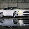 2022 Mustang Coupe Ice White Appearance Package coupe