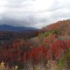 Great Smoky Mountains in the fall