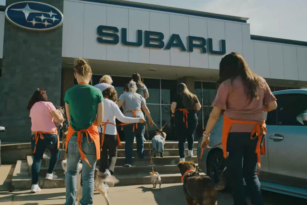 Volunteers with dogs walk into a Subaru building