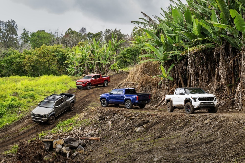 2024 Toyota Tacoma - lineup