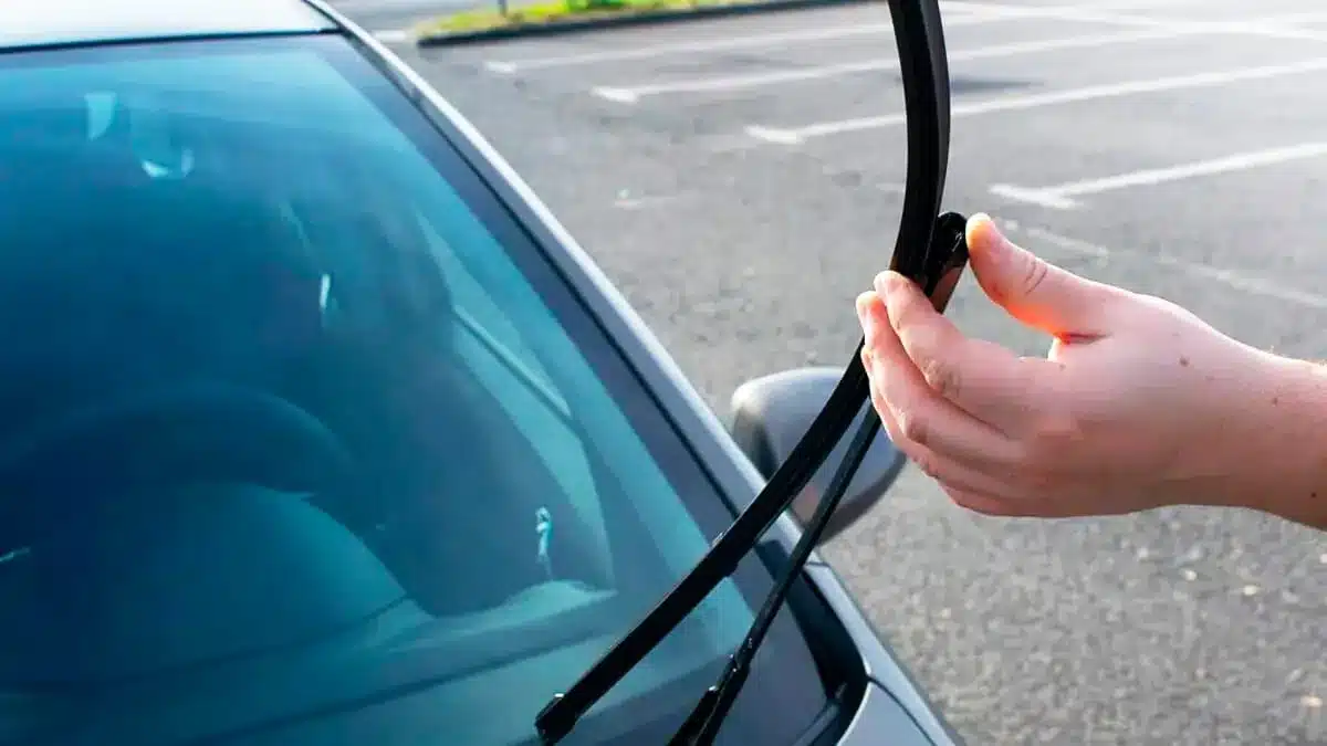 The hidden language of driving: decoding non-verbal communication on the road