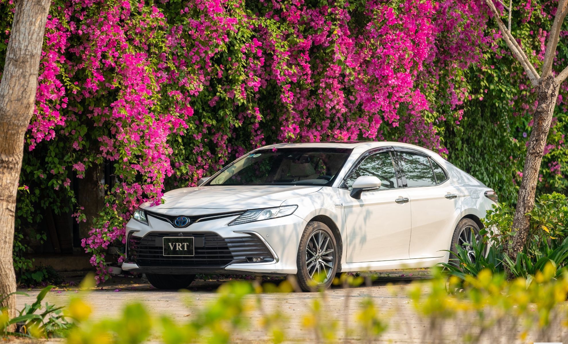 Camry
